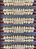 Зуби Акрилові Yamahachi Гарнітур Повний B3