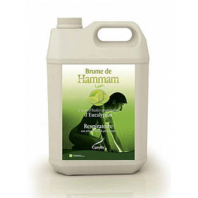 Ароматизатор для хамаму Brume de Hammam Евкаліпт 5 л