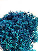 Стабилизированный мох Синий Ягель Украинский 500 г Green Ecco Moss