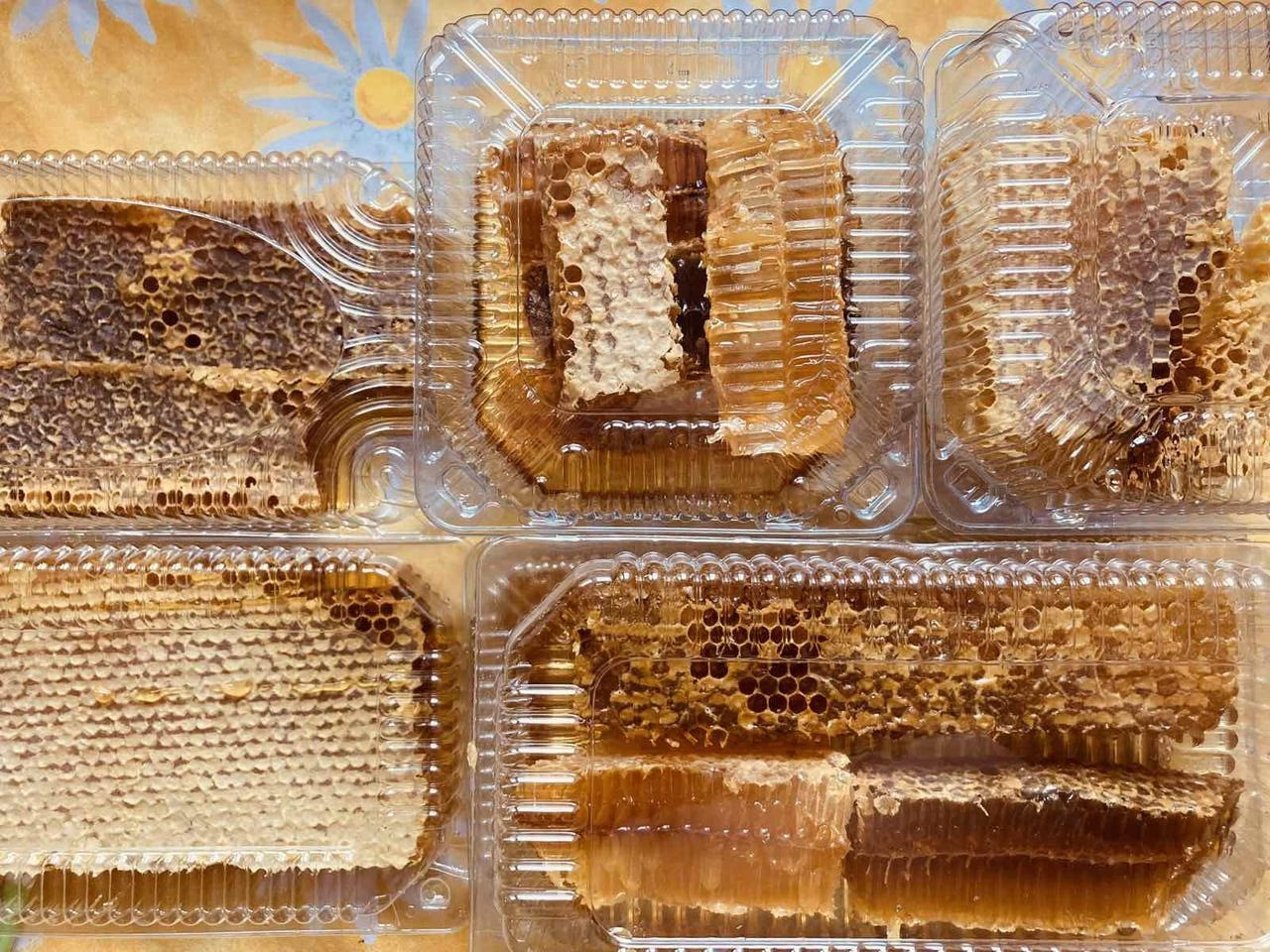 Стільники - Стільниковий мед різнотрав'я 2019 року - Соти бджолині - Медові соти - Мед в сотах