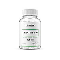 Creatine 1100 OstroVit (120 капсул)