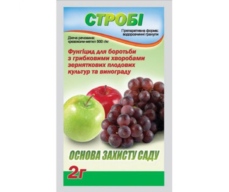 Стробі фунгіцид 2 м Німеччина, BASF