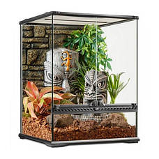 Терраріуми для равликів, павуків та рептилій