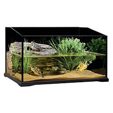 Акваріуми для черепах