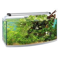 Акваріуми овальні