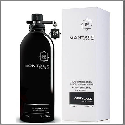 Montale Greyland парфумована вода 100 ml. (Тестер Монталь Грейленд), фото 2