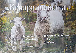 Ковдра Овчина (мікрофібра) з напиленням 195*215 ARDA Company, фото 1
