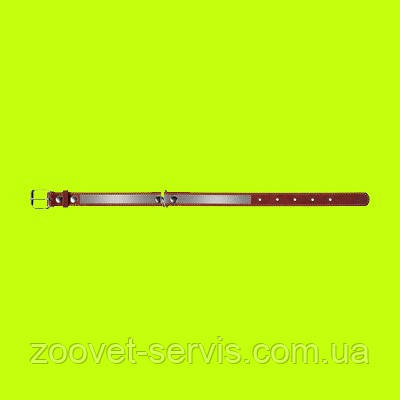 Нашийник Collar 35 мм з світловідбивною стрічкою Коричневий 02986, фото 2