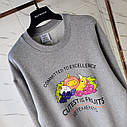 Сірий светр із фруктами Вітіментс Vetements оверсайз кофта для чоловіків і жінок, фото 8