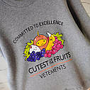 Сірий светр із фруктами Вітіментс Vetements оверсайз кофта для чоловіків і жінок, фото 3