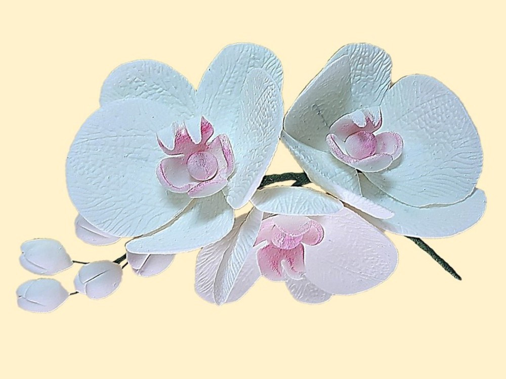 Веточка орхидеи белая - фото 1 - id-p1481322634