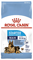 Корм Royal Canin (Роял Канін) MAXI STARTER для цуценят великих порід (для вагітних і годуючих сук), 15 кг