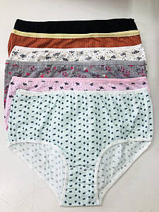 Үлкен планмен порно видео