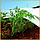 Агроволокно  42 г/м2 1.6х10 метрів біле пакетоване агроволокно для полуниці, фото 8