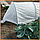 Агроволокно 50 г/м2 1,6х10 метрів біле пакетоване для вирощування огірків, фото 7