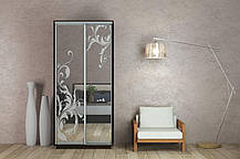 Шафа-купе 2Д Стандарт 100х45 h-240, ТМ Гарант, фото 4