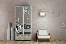 Шафа-купе 2Д Стандарт 100х60 h-240, ТМ Гарант, фото 2