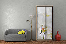 Шафа-купе 2Д Стандарт 100х60 h-240, ТМ Гарант, фото 4