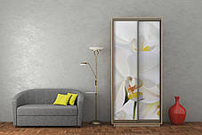 Шафа-купе 2Д Стандарт 100х45 h-240, ТМ Гарант, фото 2