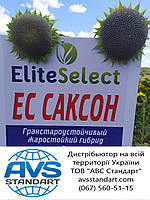 Насіння соняшника ЄС СаКСОН стійке до гранстару та заразихи A-G. Гібрид урожайний 50ц/га. Стандарт Плюс, фото 8