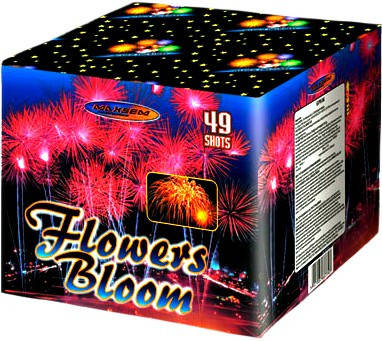 Салют Flowers Boom Калібр 25 мм \ 49 пострілів GP506-49, фото 2
