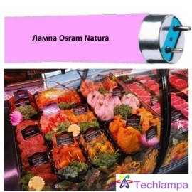 Osram natura 2024