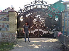 Ворота ковані Богдан, фото 2