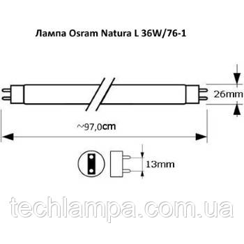 Лампа Osram Natura L 36W/76-1