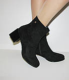 Жіночі чорні черевики ботільйони середній підбор замш 36, фото 2