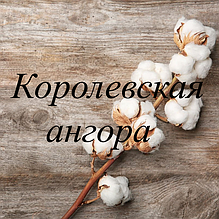 Ангора Королевська