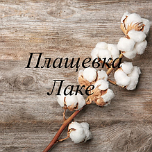 Плащівка Лаку