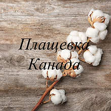 Плащівка Канада