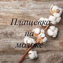 Плащівка на молоці