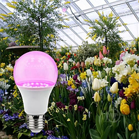 Світлодіодна лампа для рослин / Фитолампа / Фітолампа Lemanso LED 12W A60 E27 LM3098
