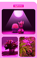 Светодиодная лампа для растений / Фитолампа / Фітолампа Lemanso LED 18W A60 E27 LM3099