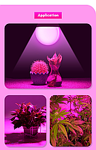 Світлодіодна лампа для рослин / Фитолампа / Фітолампа Lemanso LED 18W A60 E27 LM3099