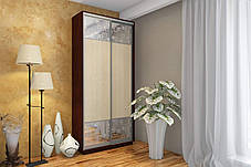 Шафа-купе 2Д Стандарт 110х60 h-240, ТМ Гарант, фото 2