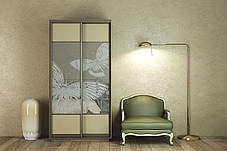 Шафа-купе 2Д Стандарт 110х60 h-240, ТМ Гарант, фото 3