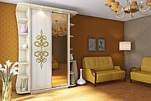 Шафа-купе 2Д Стандарт 120х45 h-220, ТМ Гарант, фото 4