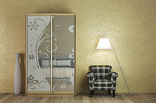 Шафа-купе 2Д Стандарт 130х45 h-240, ТМ Гарант, фото 3