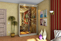 Шафа-купе 2Д Стандарт 150х45 h-220, ТМ Гарант, фото 5