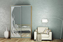 Шафа-купе 2Д Стандарт 150х45 h-240, ТМ Гарант, фото 4