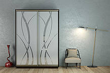 Шафа-купе 2Д Стандарт 160х45 h-220, ТМ Гарант, фото 4