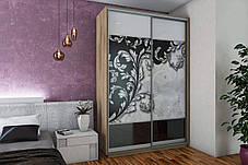 Шафа-купе 2Д Стандарт 160х45 h-220, ТМ Гарант, фото 3