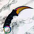 Ніж Керамбит з чохлом Karambit хамелеон, фото 3