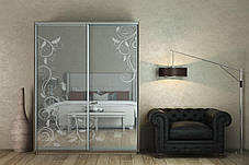 Шафа-купе 2Д Стандарт 170х60 h-240, ТМ Гарант, фото 2