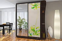 Шафа-купе 2Д Стандарт 170х60 h-240, ТМ Гарант, фото 4