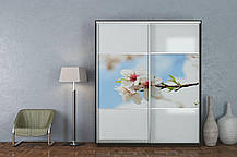 Шафа-купе 2Д Стандарт 180х45 h-240, ТМ Гарант, фото 4