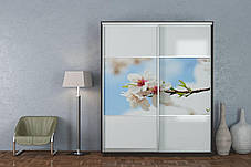 Шафа-купе 2Д Стандарт 180х45 h-220, ТМ Гарант, фото 2