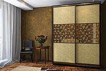 Шафа-купе 2Д Стандарт 180х45 h-220, ТМ Гарант, фото 4